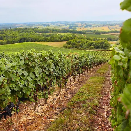 Gite, Jacuzzi & Vin Au Grenier De Semesterbostad *