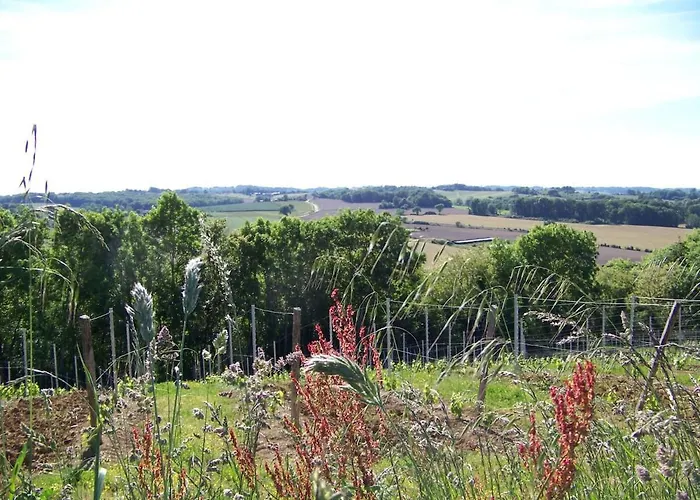 Gite, Jacuzzi & Vin Au Grenier De * Madiran
